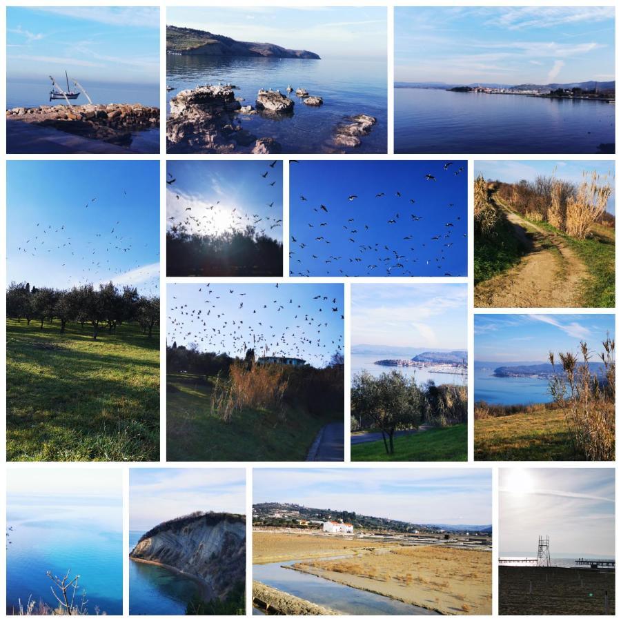 Villa Sea House Izola Esterno foto